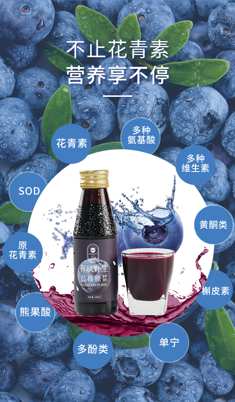 蓝莓详情_03.jpg